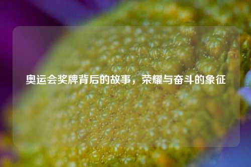 奥运会奖牌背后的故事，荣耀与奋斗的象征