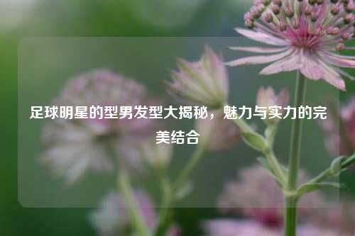 足球明星的型男发型大揭秘，魅力与实力的完美结合