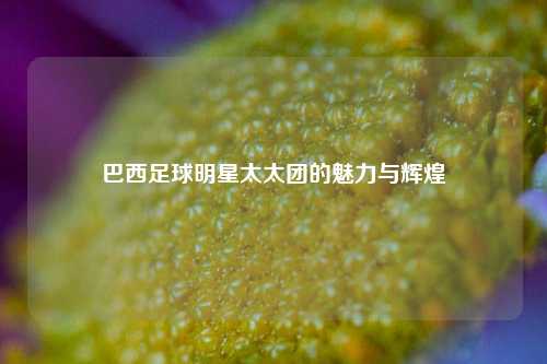 巴西足球明星太太团的魅力与辉煌