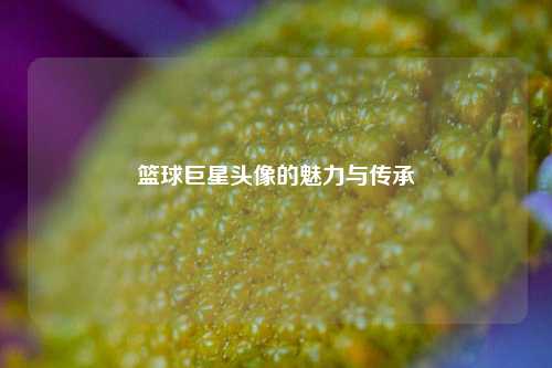 篮球巨星头像的魅力与传承