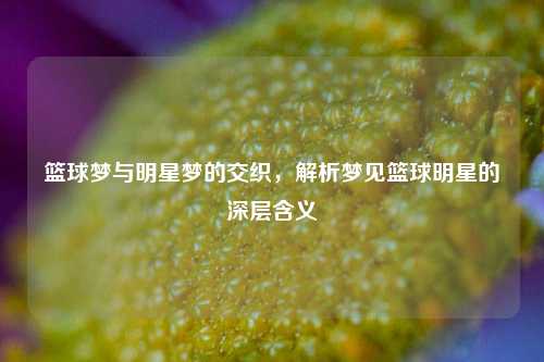 篮球梦与明星梦的交织，解析梦见篮球明星的深层含义