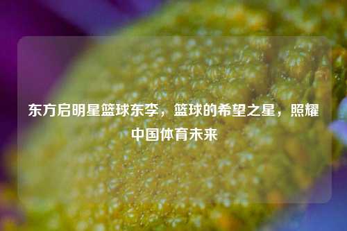 东方启明星篮球东李，篮球的希望之星，照耀中国体育未来