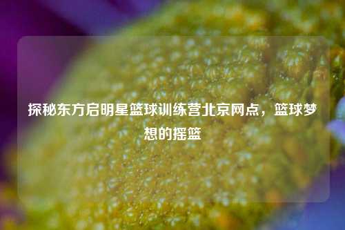 探秘东方启明星篮球训练营北京网点，篮球梦想的摇篮