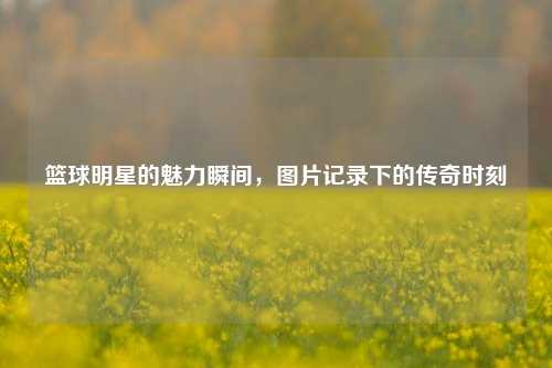 篮球明星的魅力瞬间，图片记录下的传奇时刻