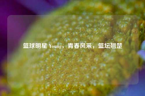 篮球明星 Young，青春风采，篮坛翘楚